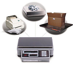 Rice Lake IQ9500