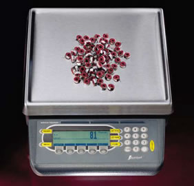Weigh-Tronix 821